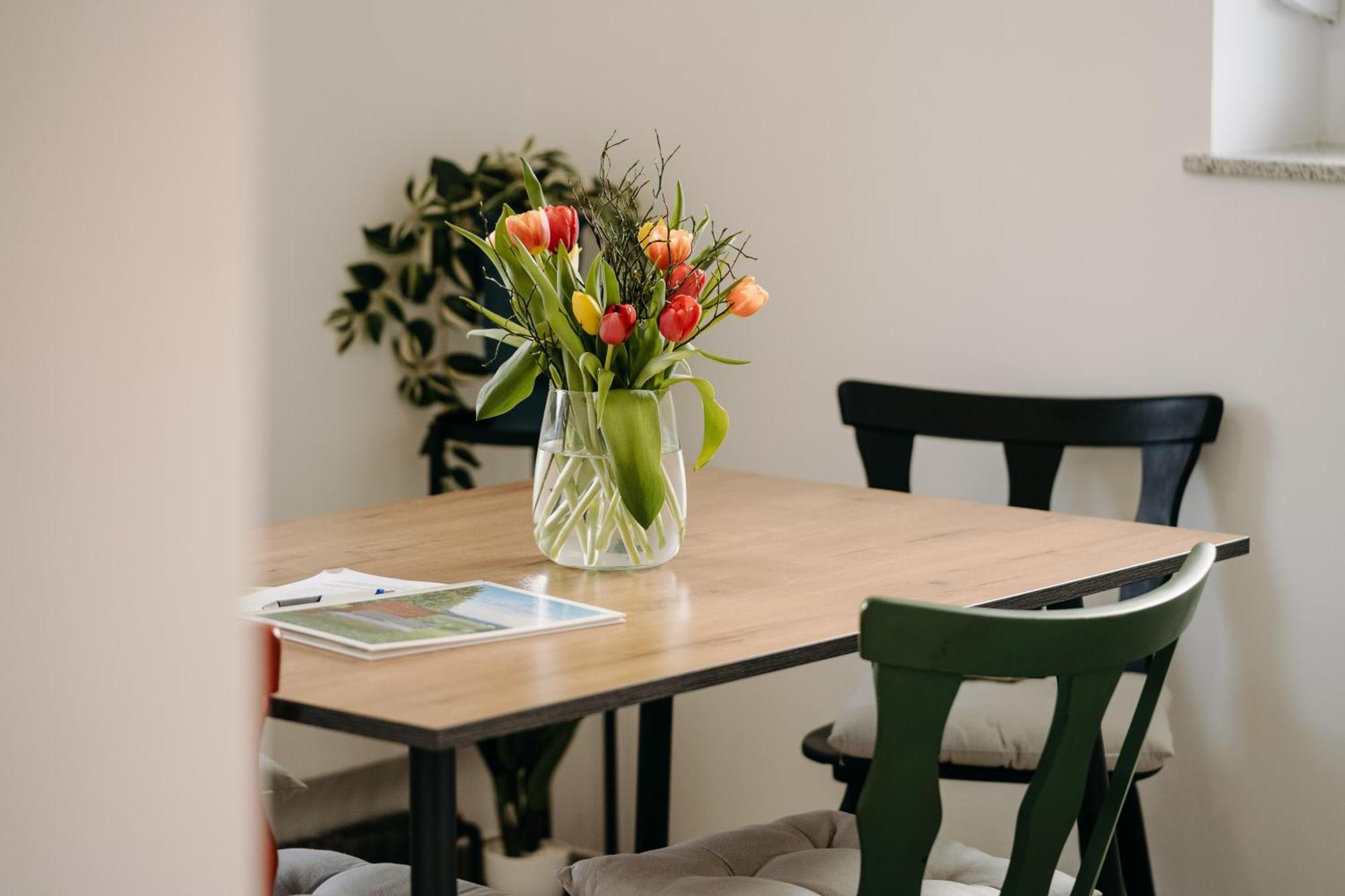 Zum Lieblingsplatz Apartment Guglitz Luaran gambar